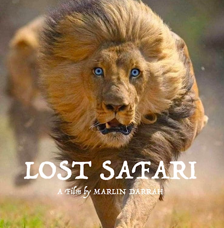 Serengeti wildlife at golden hour